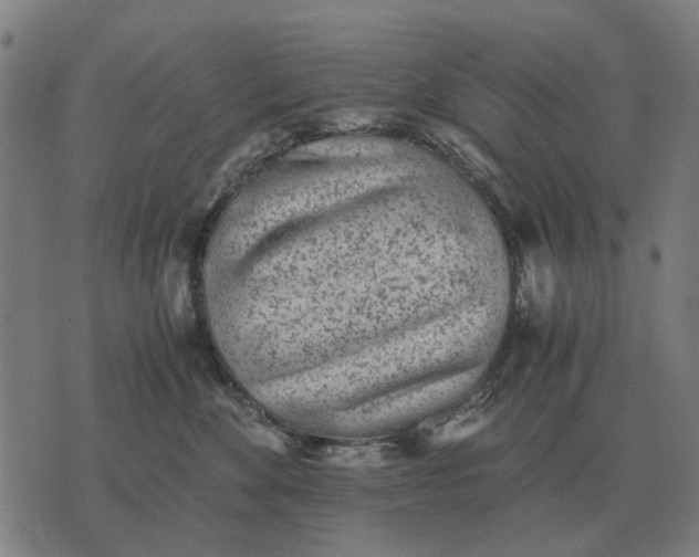 X0000076090524200610061644