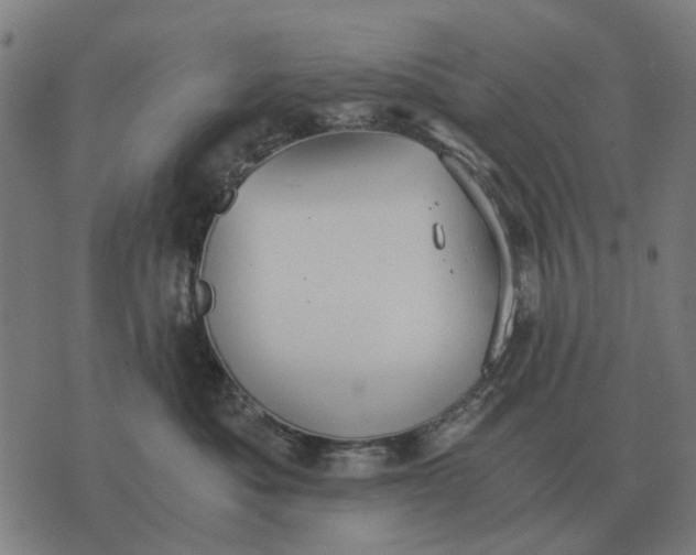 X0000076090525200610061644