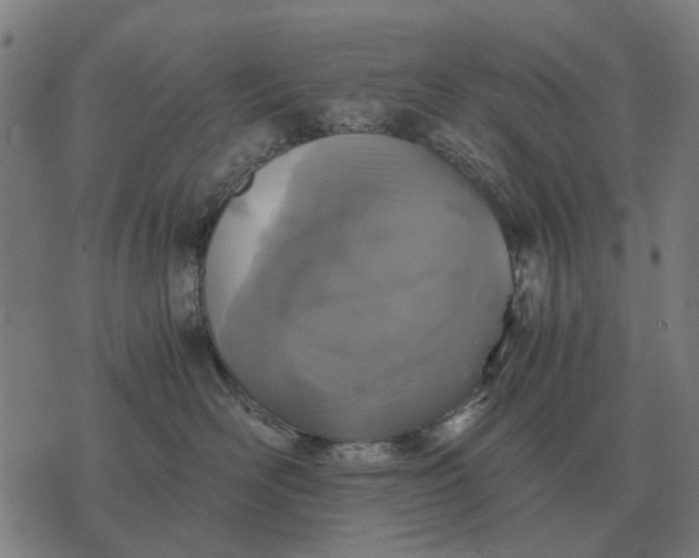 X0000076090526200610061644