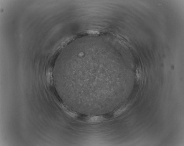 X0000076090527200610061644