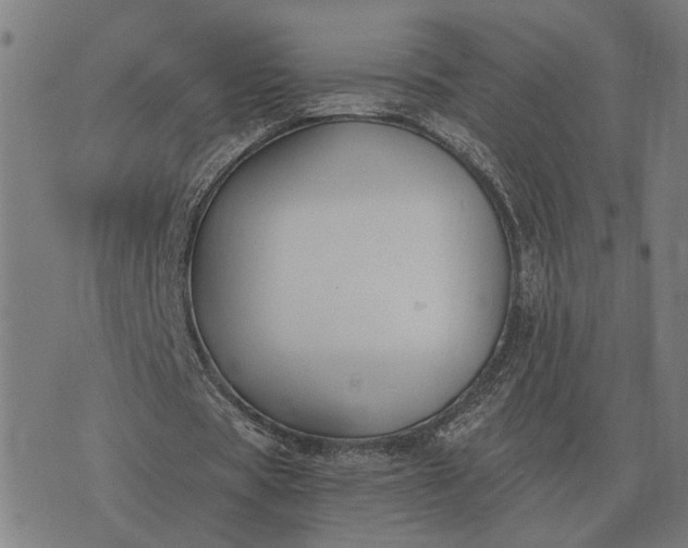 X0000076090529200610061643