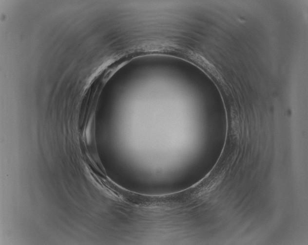 X0000076090530200610061643