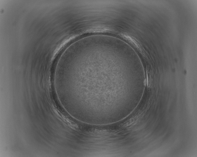 X0000076090531200610061643