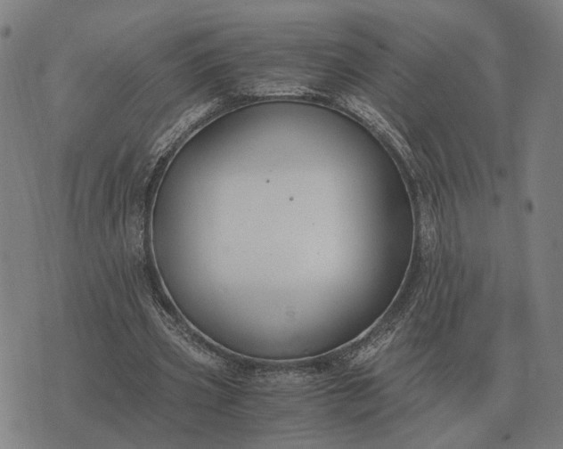 X0000076090533200610061643