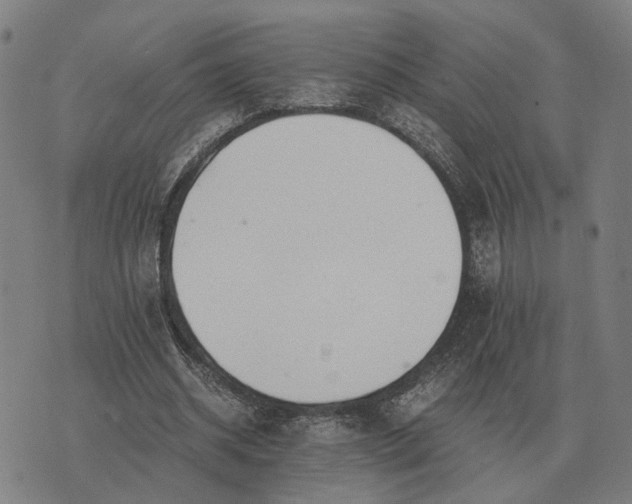 X0000076090534200610061643