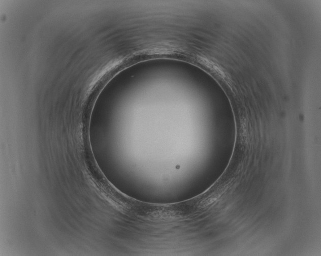 X0000076090535200610061643