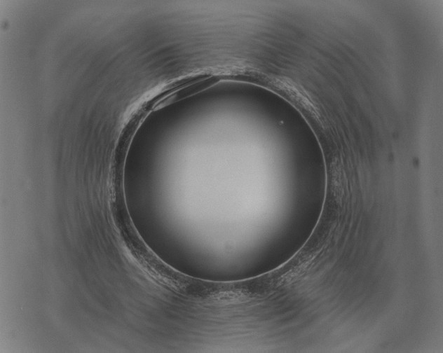 X0000076090536200610061643