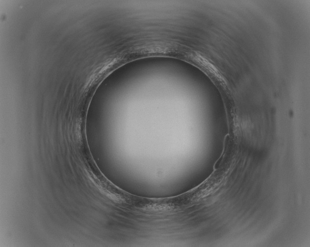 X0000076090537200610061643