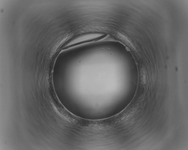 X0000076090538200610061643