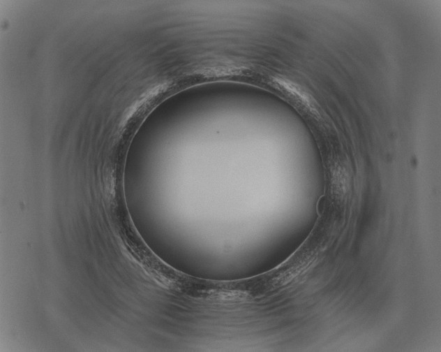 X0000076090539200610061643