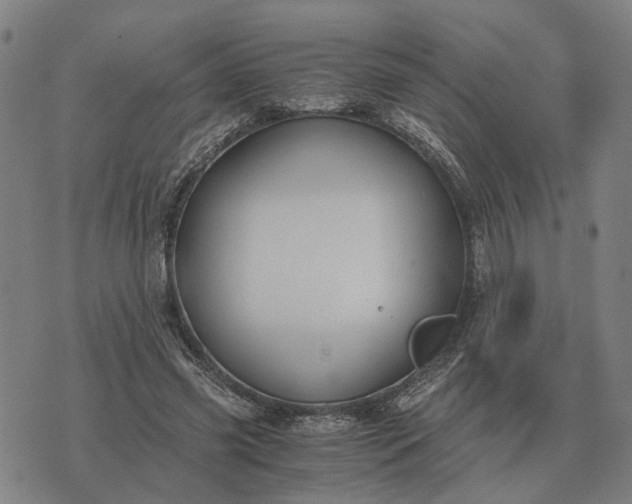 X0000076090541200610061643