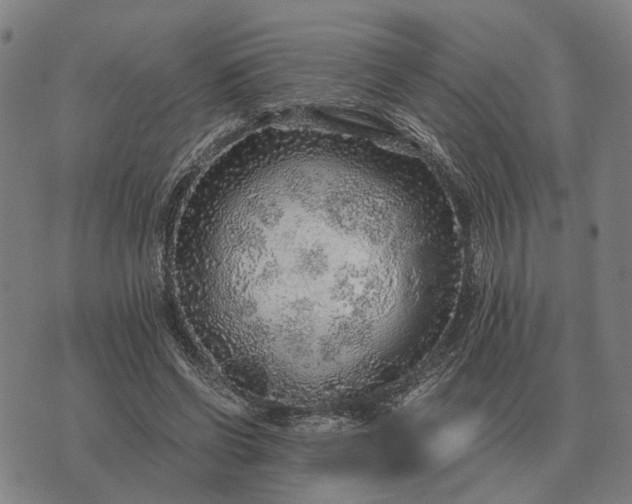 X0000076090542200610061643