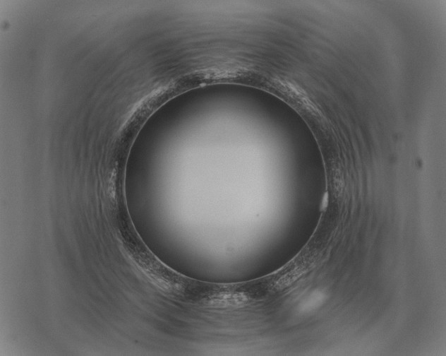 X0000076090543200610061643