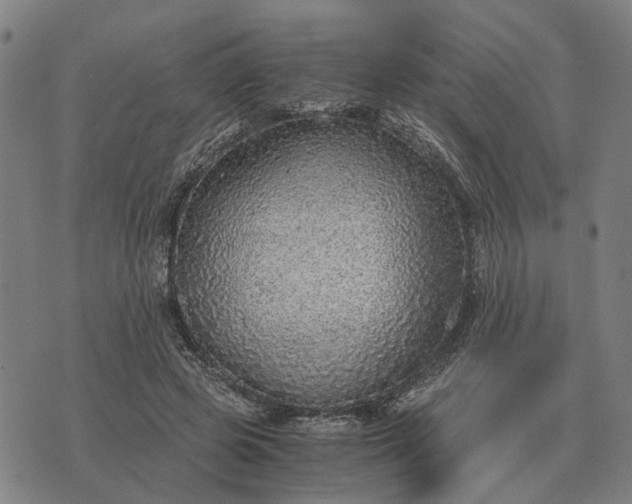 X0000076090545200610061644