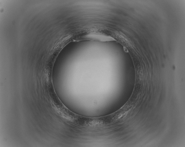 X0000076090546200610061644