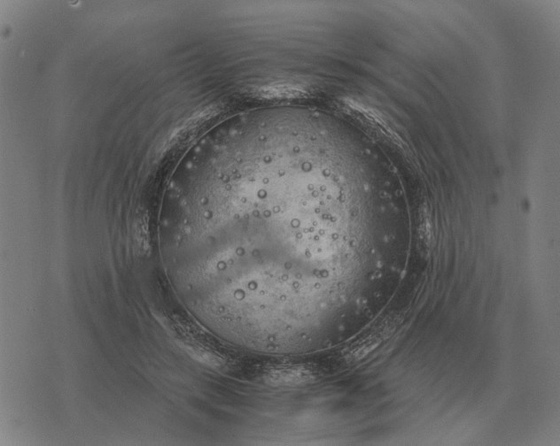 X0000076090547200610061644