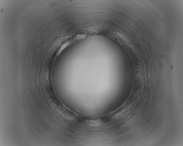 X0000076090548200610061644