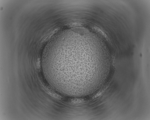 X0000076090549200610061644