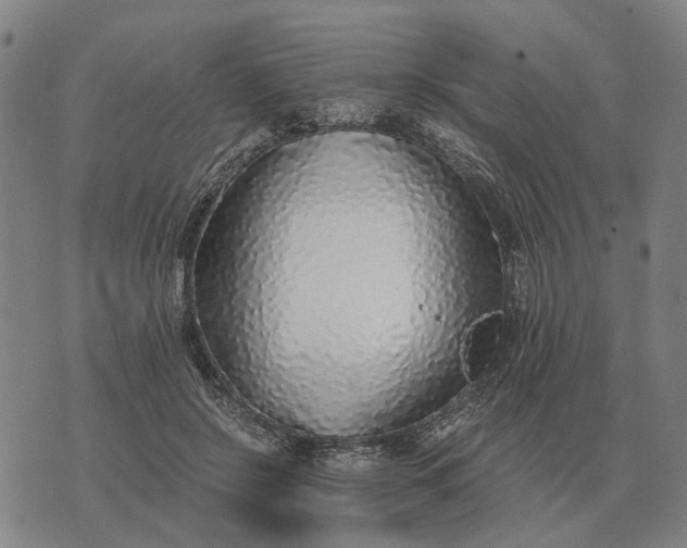 X0000076090550200610061644