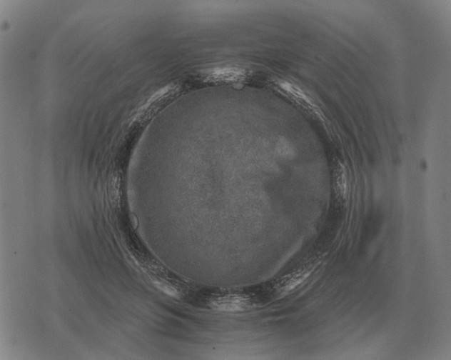 X0000076090551200610061644