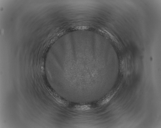 X0000076090553200610061644