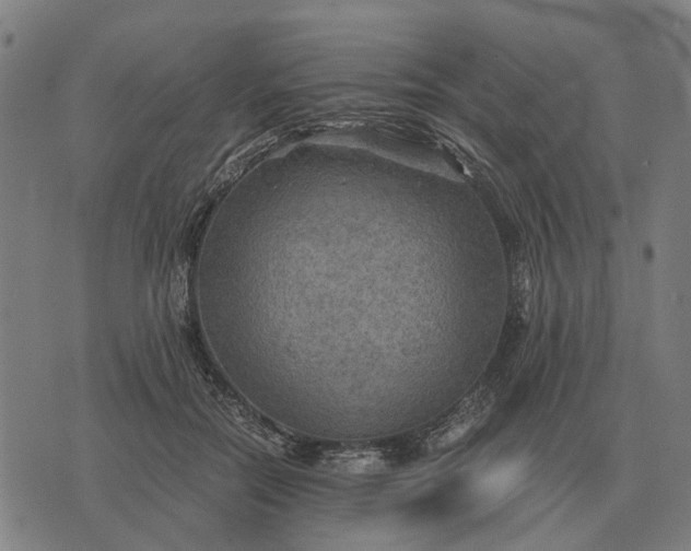 X0000076090554200610061644