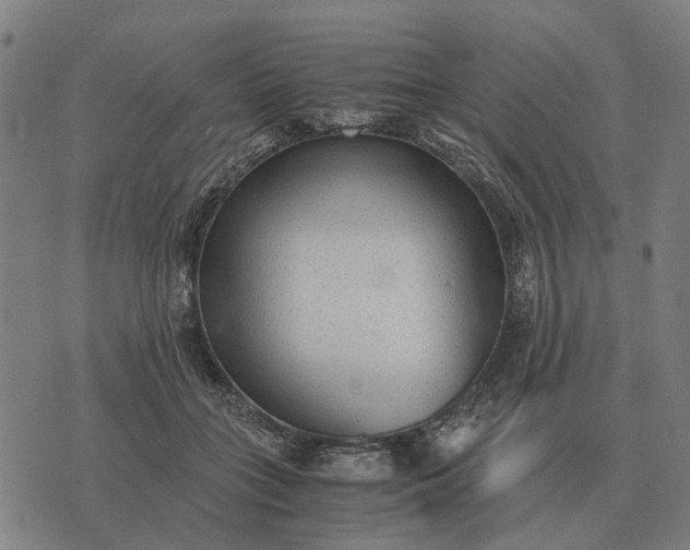 X0000076090555200610061644