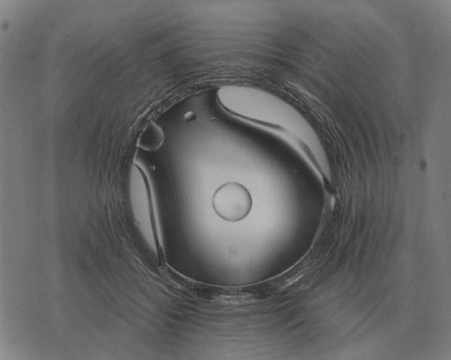 X0000076090556200610061644