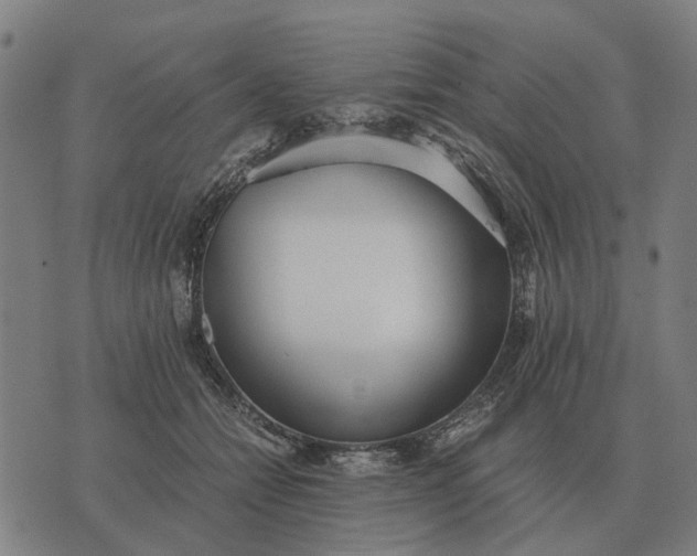 X0000076090558200610061644