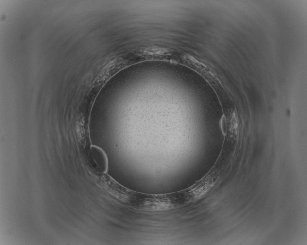 X0000076090559200610061644