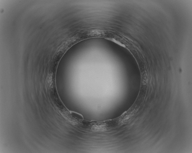 X0000076090560200610061644