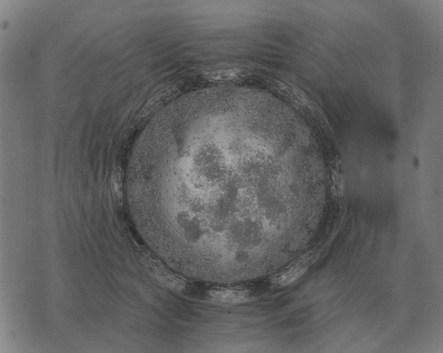 X0000076090561200610061644