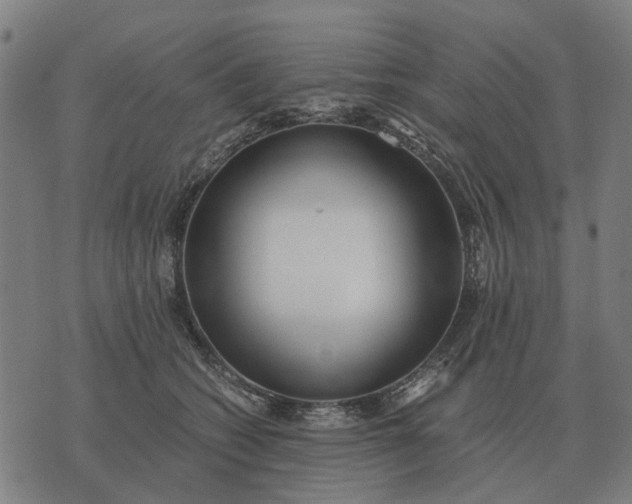 X0000076090562200610061644