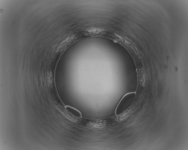 X0000076090563200610061644