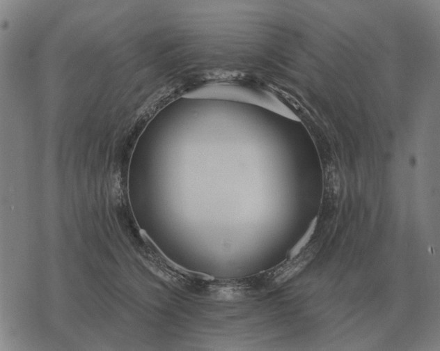 X0000076090564200610061644