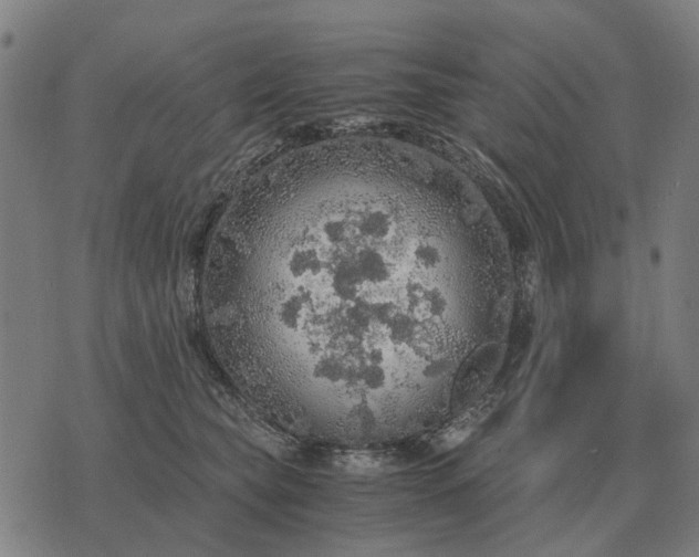 X0000076090565200610061644