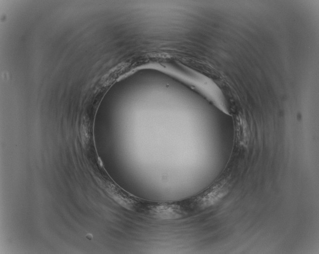 X0000076090566200610061644