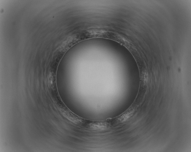 X0000076090567200610061644