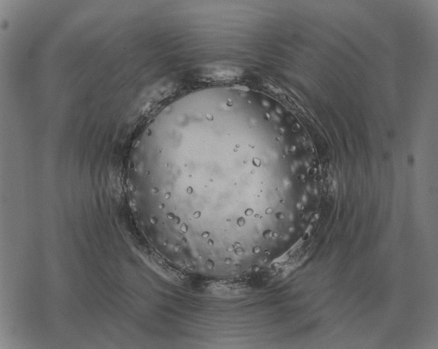 X0000076090568200610061644