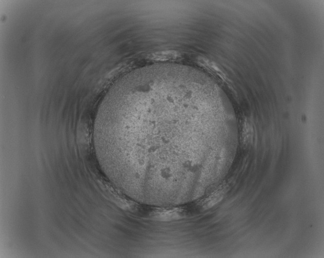 X0000076090569200610061644