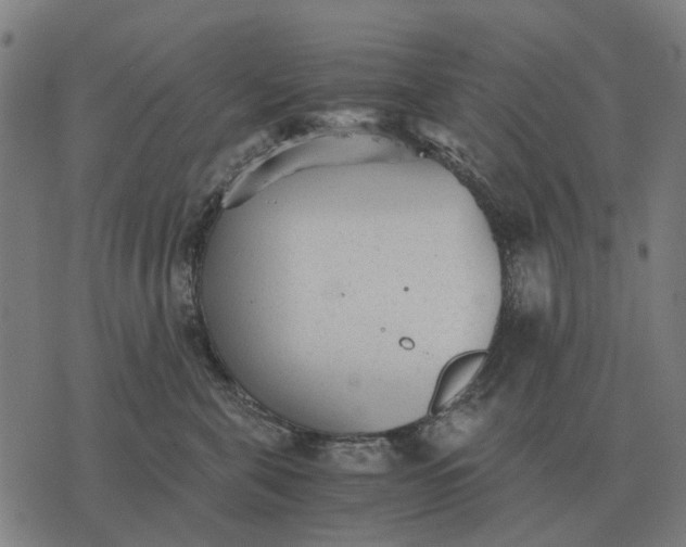 X0000076090571200610061644