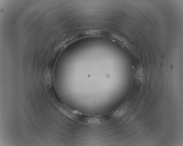 X0000076090572200610061644