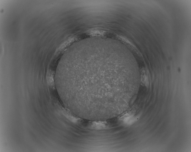 X0000076090573200610061644