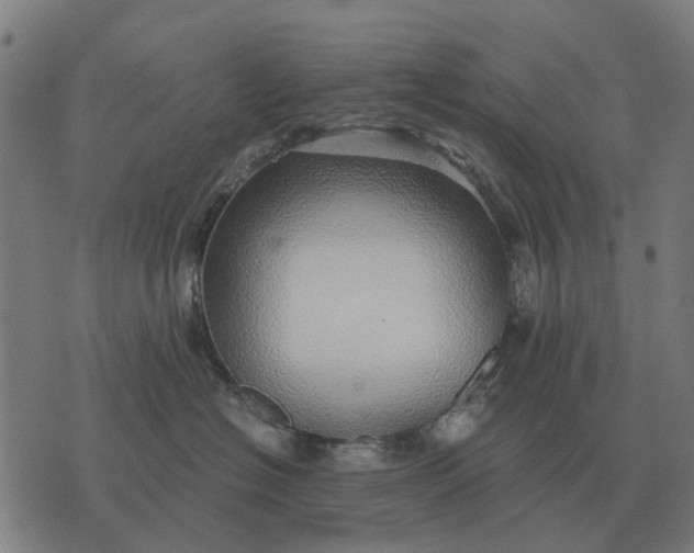 X0000076090574200610061644