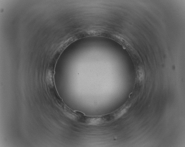 X0000076090575200610061644