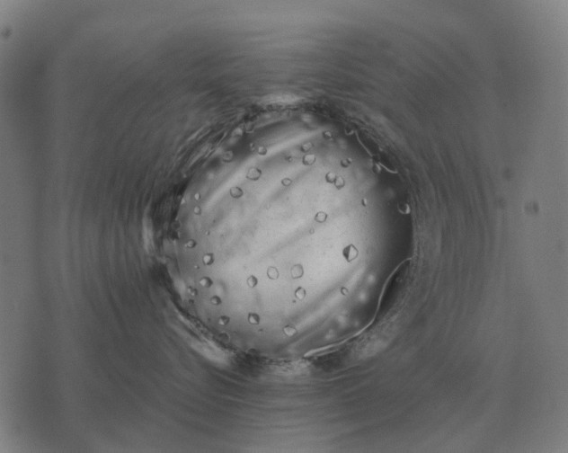 X0000076090576200610061644