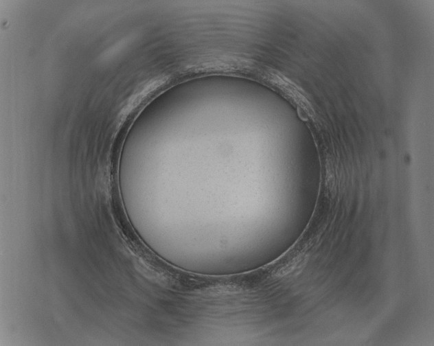 X0000076090578200610061643