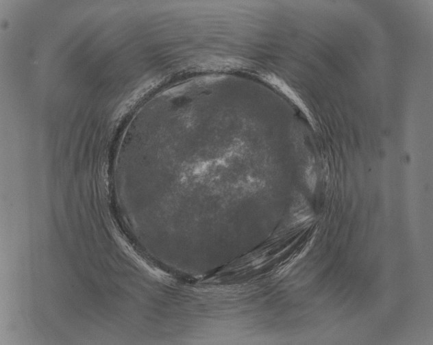 X0000076090581200610061643