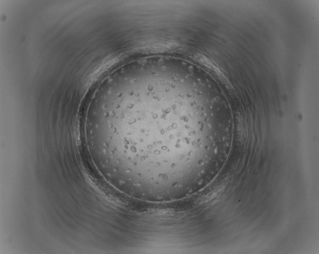 X0000076090582200610061643