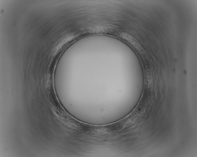 X0000076090583200610061643